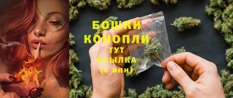 дарк нет наркотические препараты  Каменск-Уральский  Шишки марихуана SATIVA & INDICA 